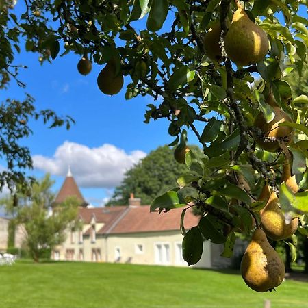 Le Petit Chateau Baye  Exterior photo